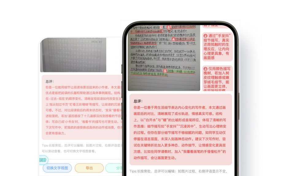 作文总评功能示例